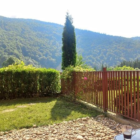 Belleview Garden Studio Apartamento Sinaia Exterior foto