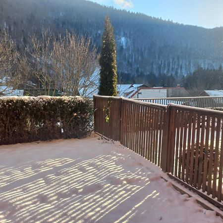 Belleview Garden Studio Apartamento Sinaia Exterior foto