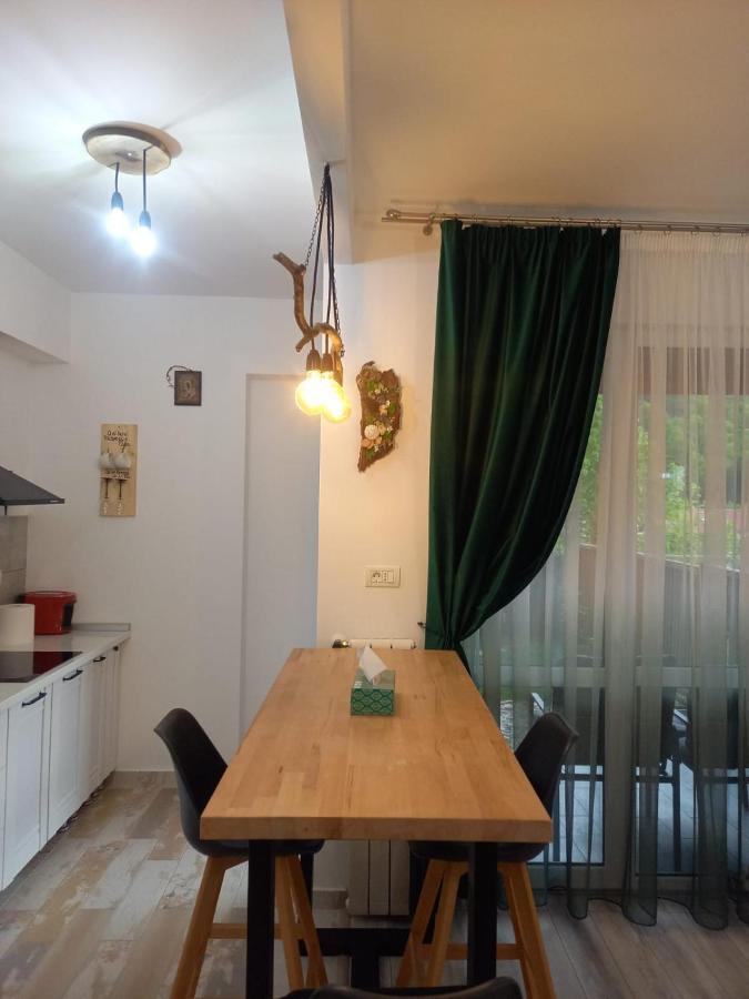 Belleview Garden Studio Apartamento Sinaia Exterior foto