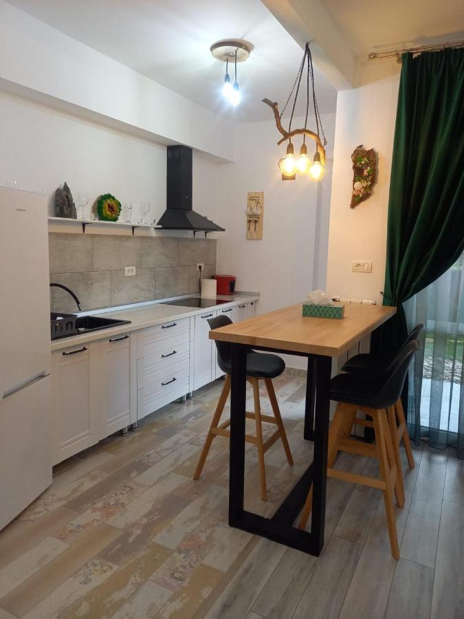 Belleview Garden Studio Apartamento Sinaia Exterior foto