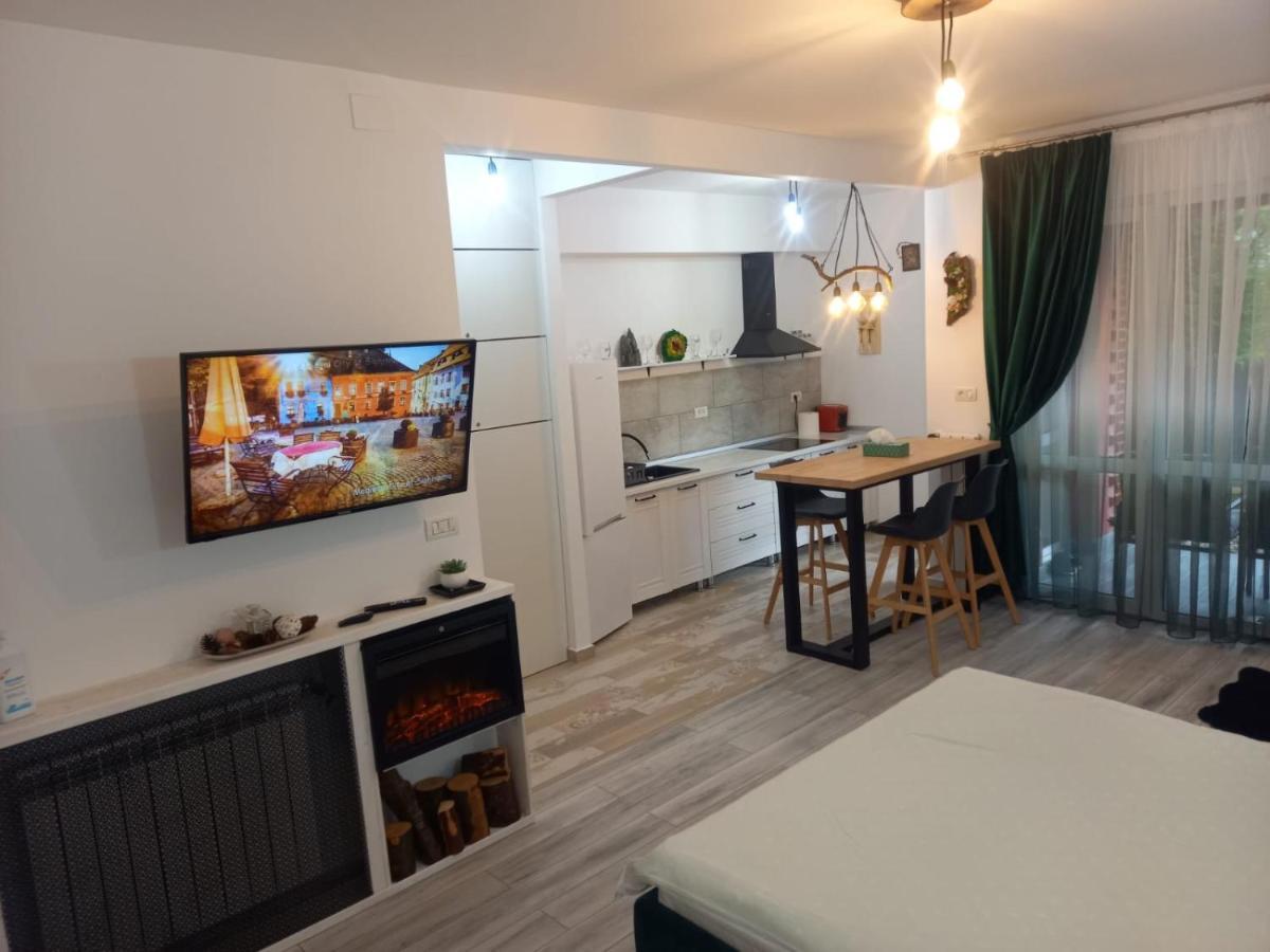 Belleview Garden Studio Apartamento Sinaia Exterior foto