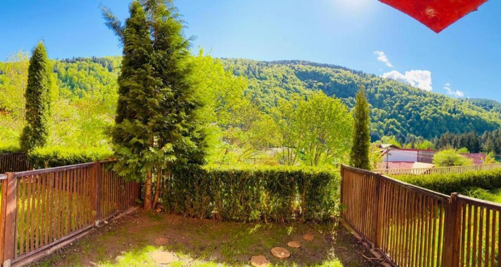 Belleview Garden Studio Apartamento Sinaia Exterior foto
