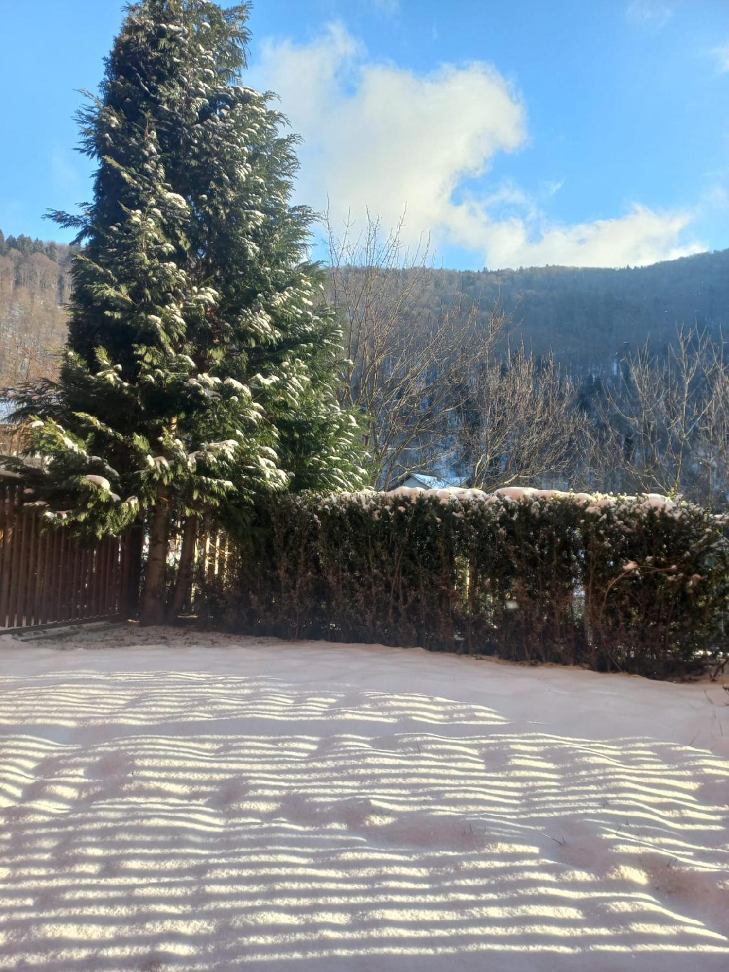 Belleview Garden Studio Apartamento Sinaia Exterior foto