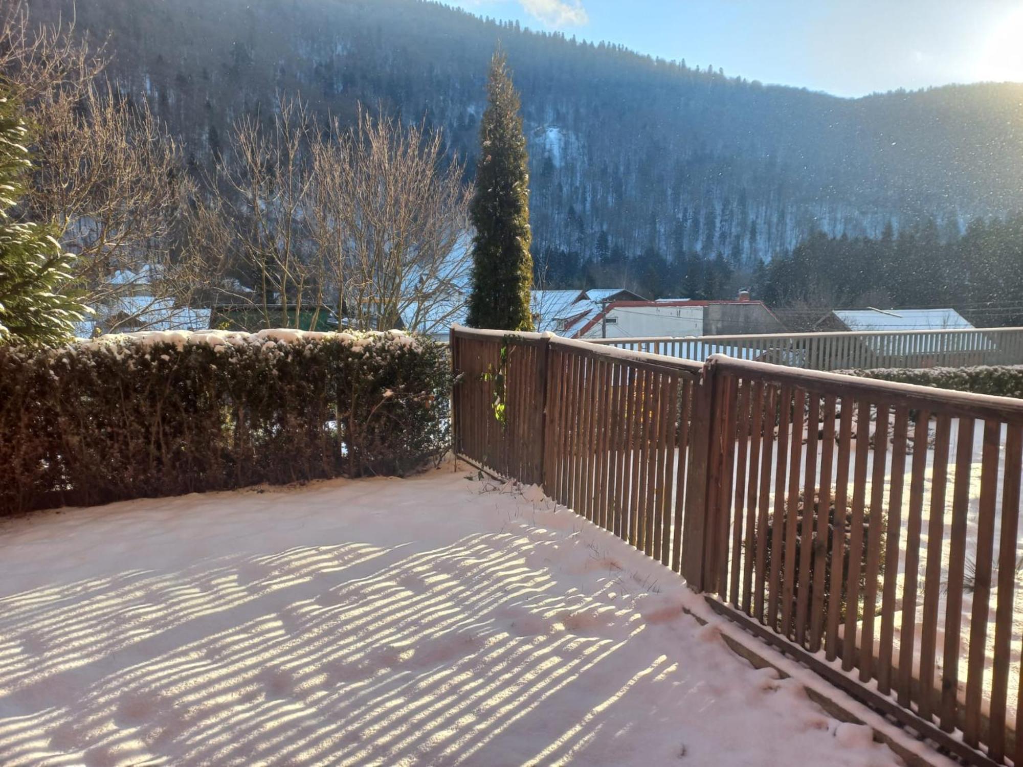 Belleview Garden Studio Apartamento Sinaia Exterior foto